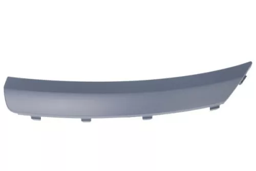 Trim/Protection Strip, bumper