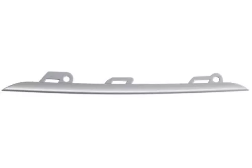 Trim/Protection Strip, bumper