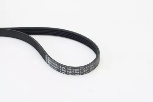 V-ribbed Belt