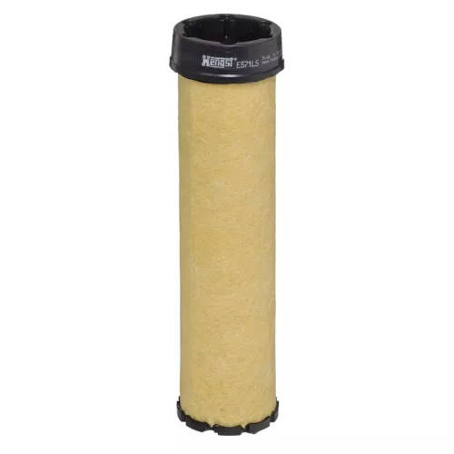 Secondary Air Filter