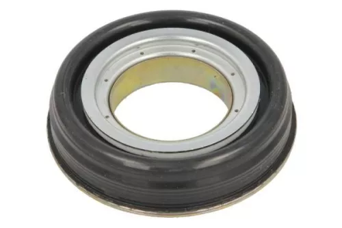 Shaft Seal, drive shaft