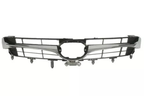 Radiator Grille