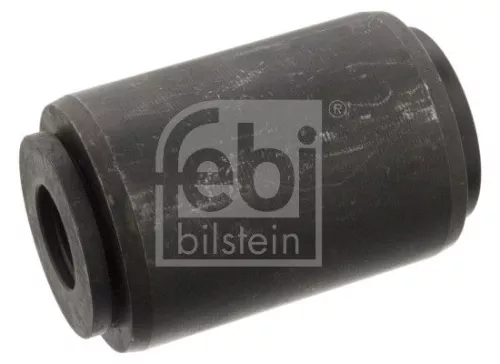 Bushing, leaf spring