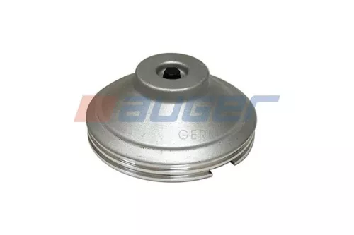 Cap, wheel bearing