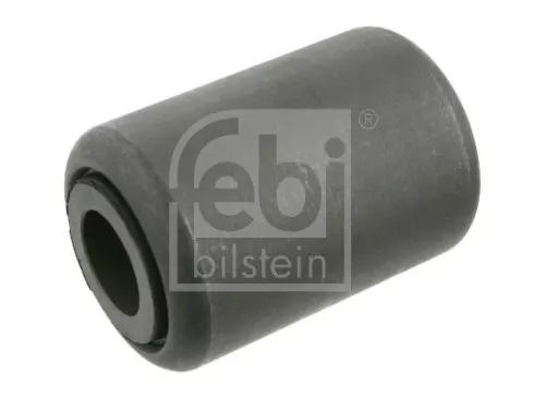 Bushing, leaf spring