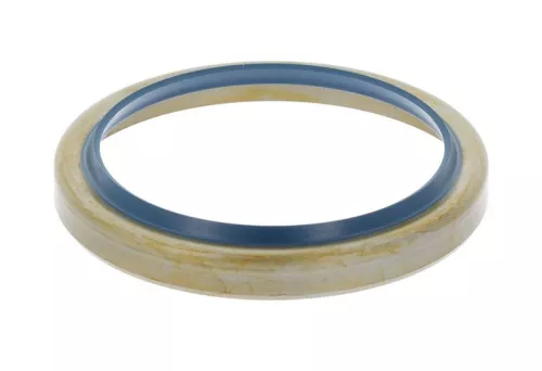 Seal Ring, steering knuckle