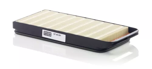 Secondary Air Filter