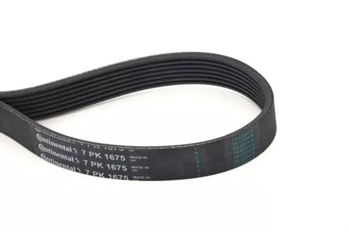 V-ribbed Belt