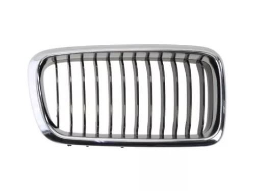 Radiator Grille