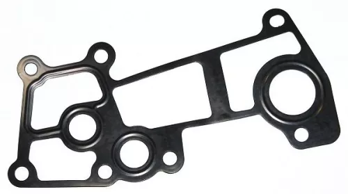 Gasket, coolant flange