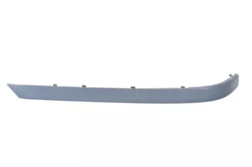 Trim/Protection Strip, bumper