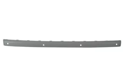 Trim/Protection Strip, bumper