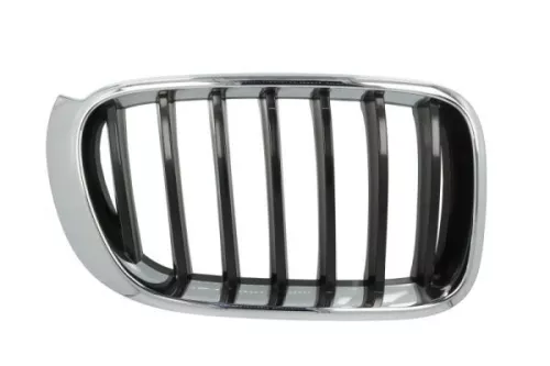 Radiator Grille