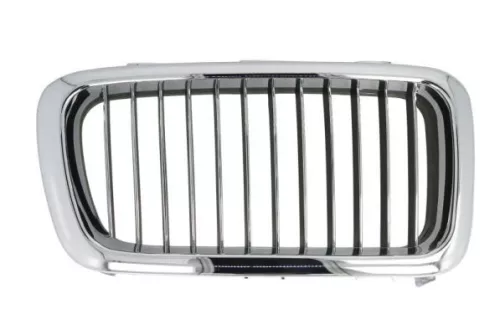 Radiator Grille