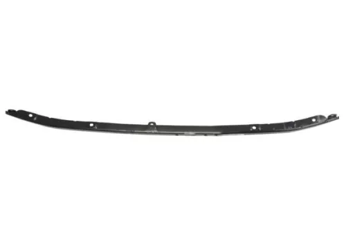 Trim/Protection Strip, radiator grille