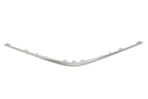 Trim/Protection Strip, radiator grille