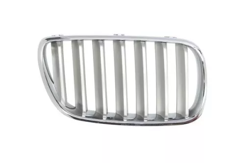 Radiator Grille