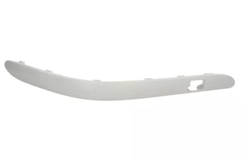 Trim/Protection Strip, bumper