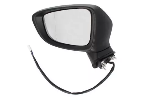 Exterior Mirror