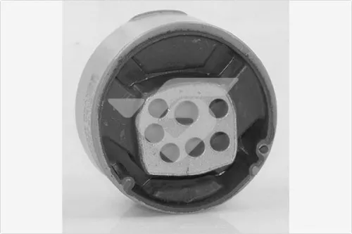 Holder, engine mounting system