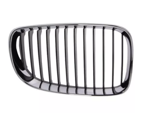 Radiator Grille