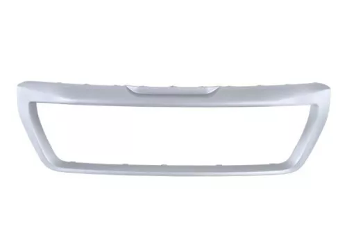 Trim/Protection Strip, radiator grille