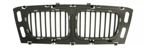 Radiator Grille