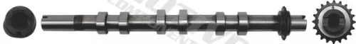 Camshaft
