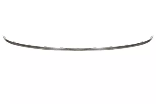 Trim/Protection Strip, bumper