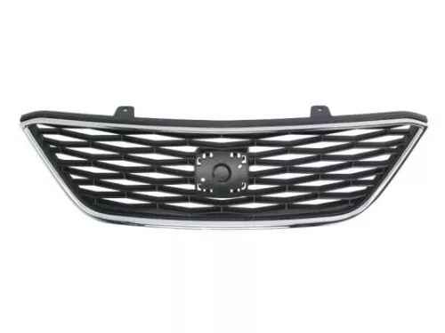 Radiator Grille