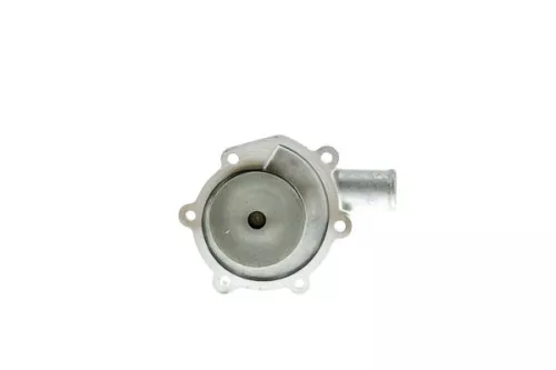 Auxiliary Water Pump (cooling water circuit)