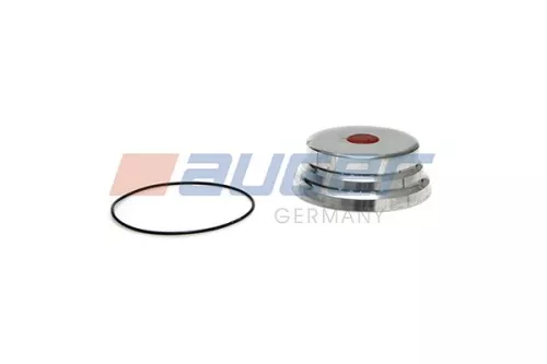 Cap, wheel bearing
