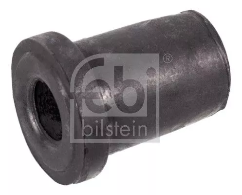 Bushing, leaf spring