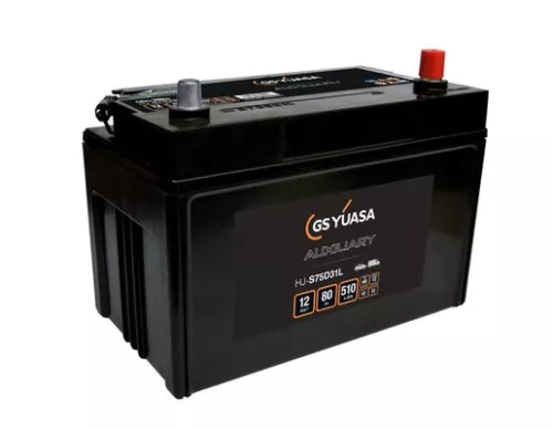 Starter Battery