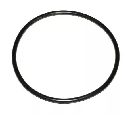 Gasket, timing case cover