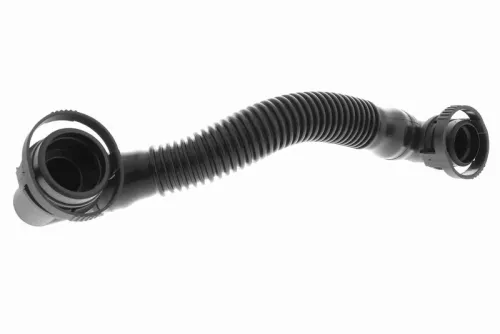 Hose, crankcase ventilation