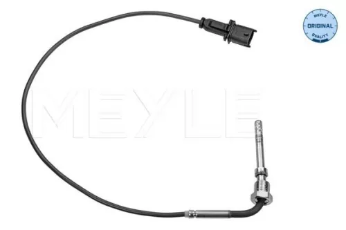 Sensor, exhaust gas temperature