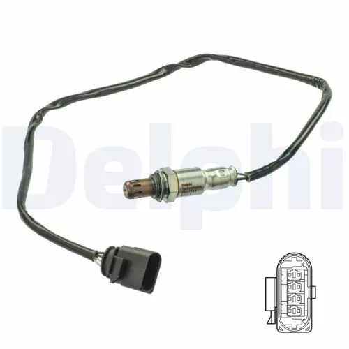 Oxygen Sensor