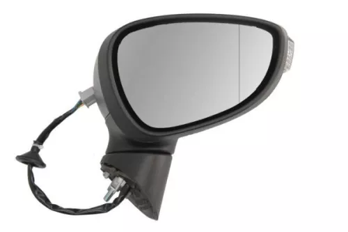Exterior Mirror