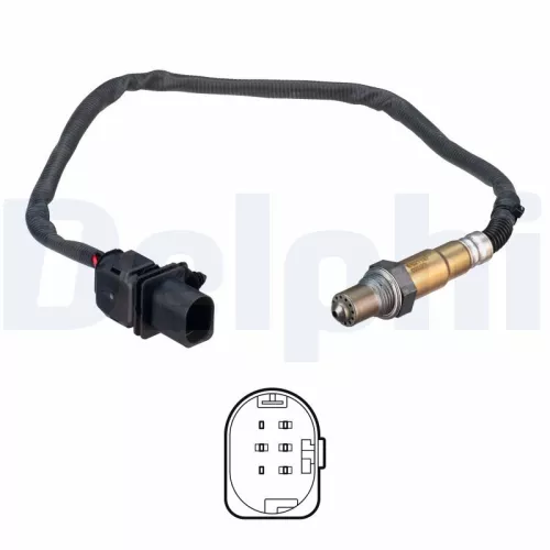 Oxygen Sensor