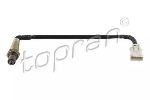 Oxygen Sensor