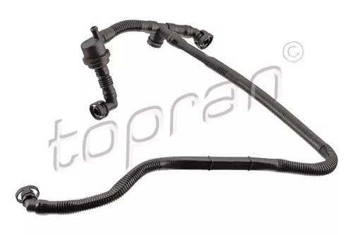 Hose, cylinder head cover ventilation