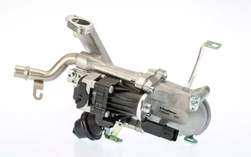 EGR Module
