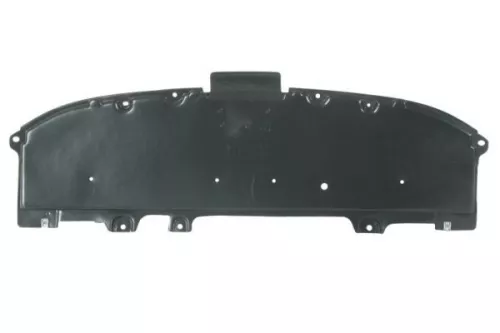 Engine Guard/Skid Plate