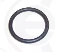 Seal Ring