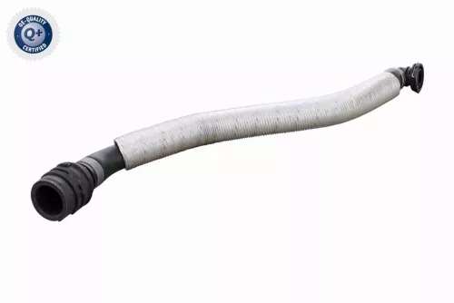 Hose, crankcase ventilation