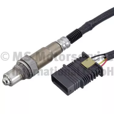 Oxygen Sensor