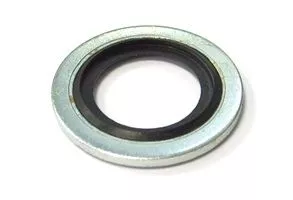 Seal Ring