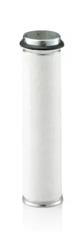 Secondary Air Filter