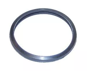 Seal Ring